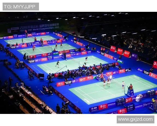 南京羽毛球队成员个人能力深度对比与分析探讨 南京羽毛球队成员个人能力深度对比与分析探讨