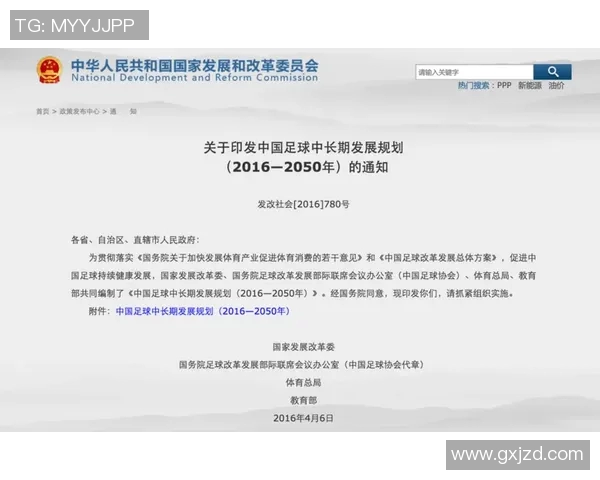 以青训为核心推动足球发展改革路径探讨与实践分析