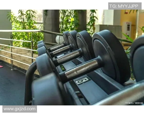 深圳大型健身器材:深圳市场上大型健身器材品牌与产品