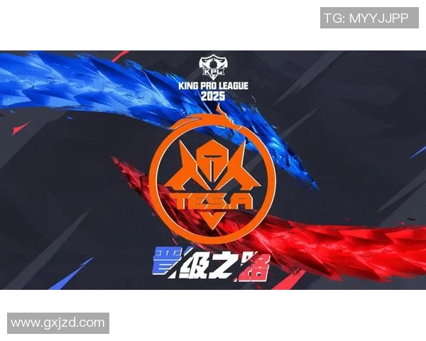 TES重塑自我之路：从挑战到辉煌的精英赛特别报道