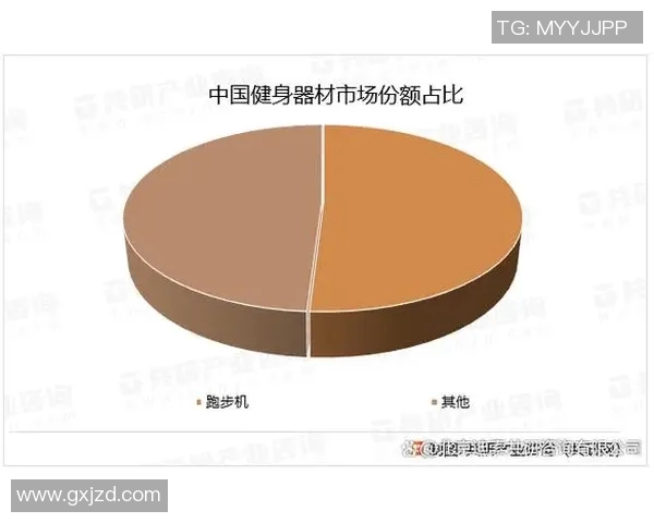 高端健身器材品牌推荐与市场占有率分析