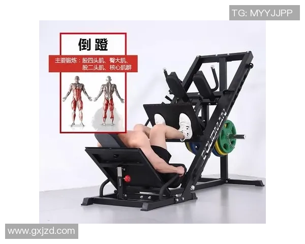 提升足力气的健身器材种类及训练方案 提升足力气的健身器材种类及训练方案